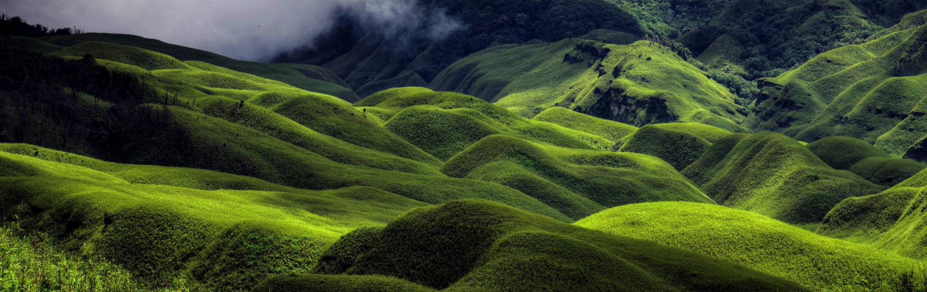 Hills of North East India Tour