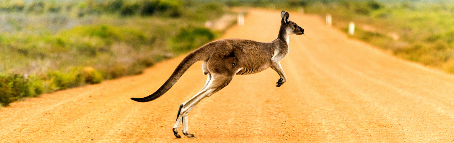 Fascinating Australia Tour – 8 Days Adventure